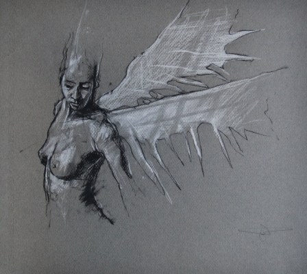 chaque-6-decembre-te-decime