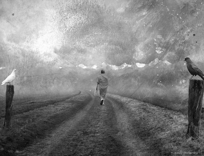 hartwig-kopp-delaney