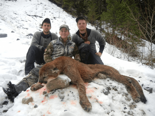 des-cougars-et-des-hommes