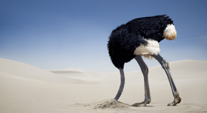 ignorance-quebec-attentat